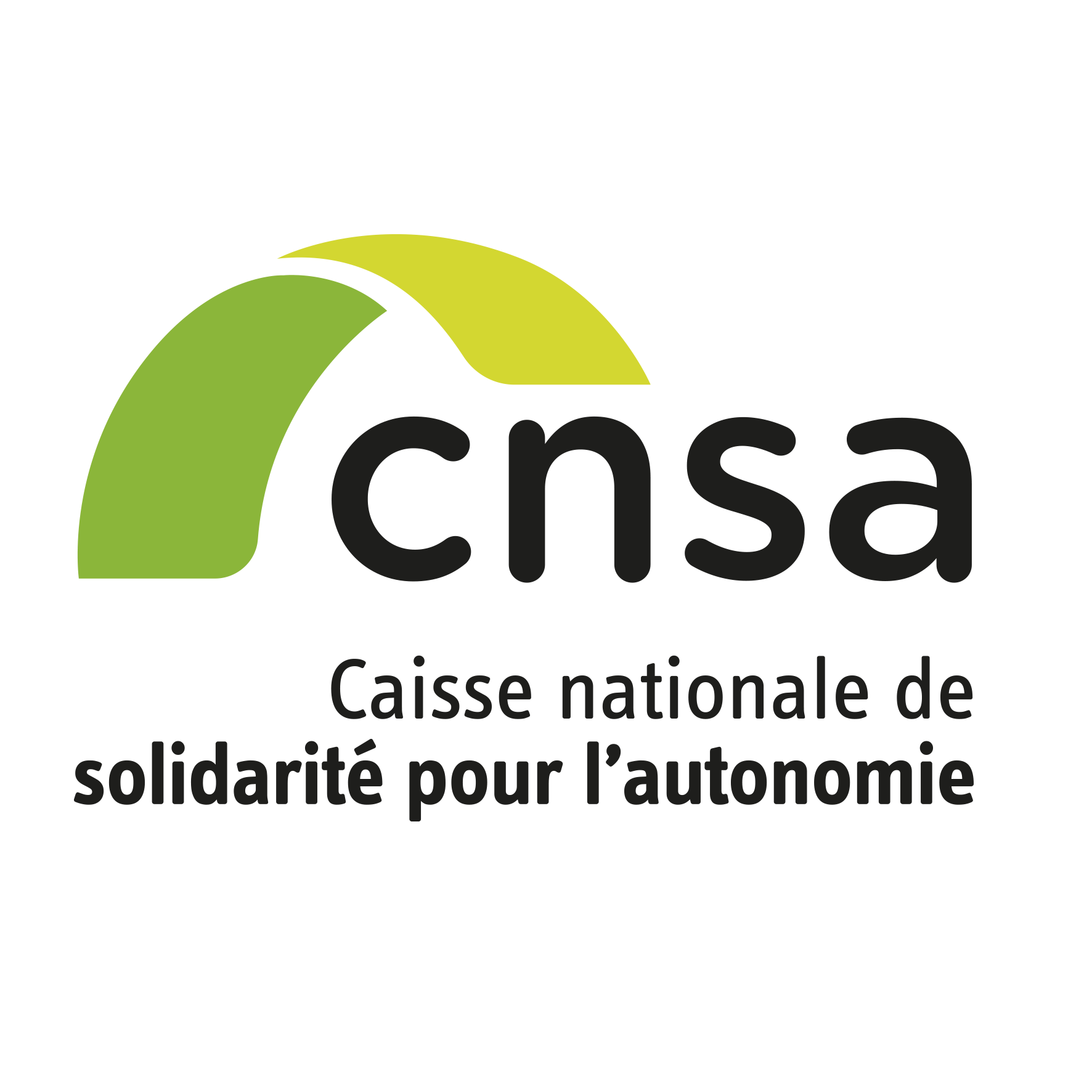 Logo CNSA