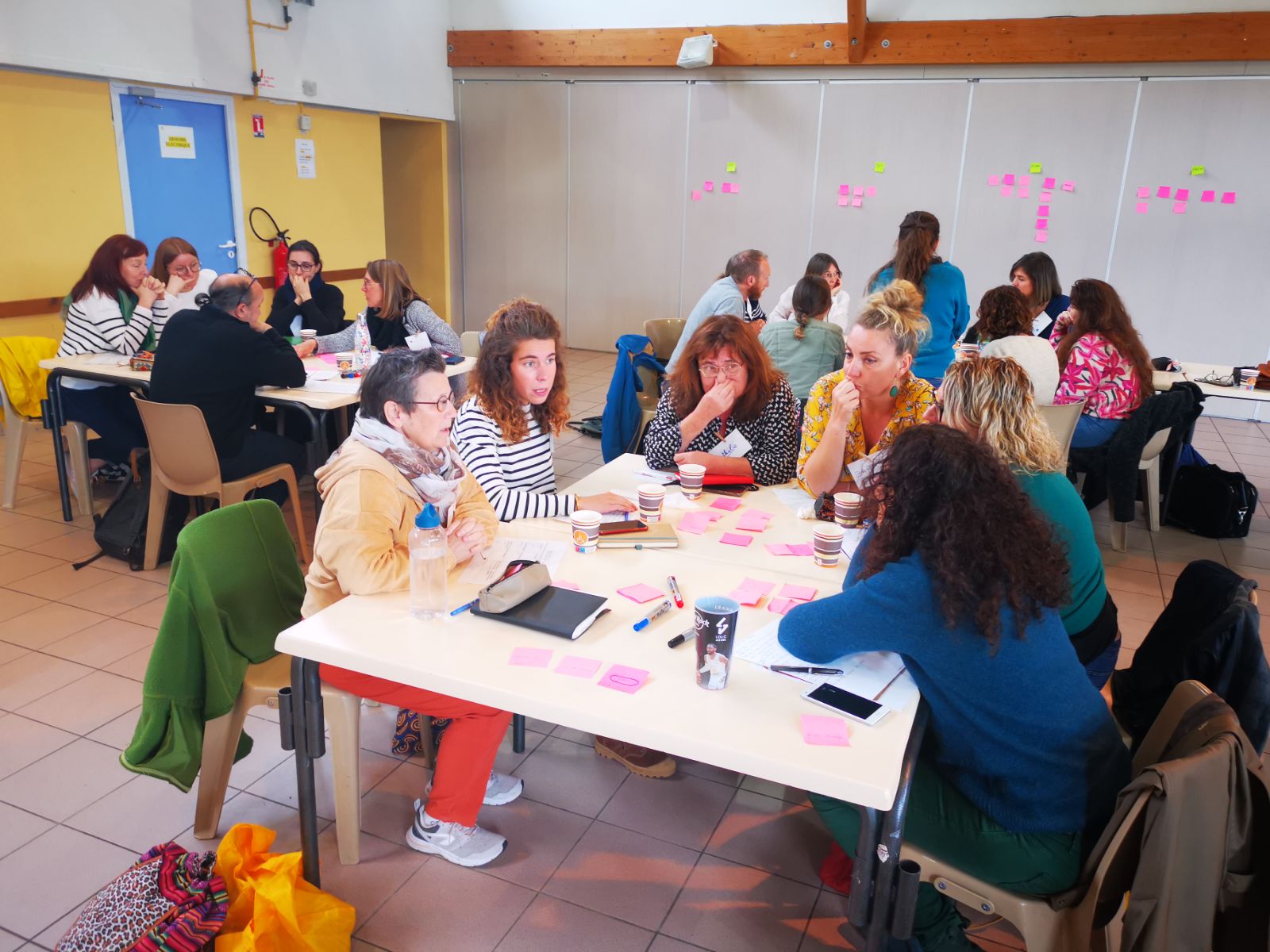 Formations croisées école inclusive